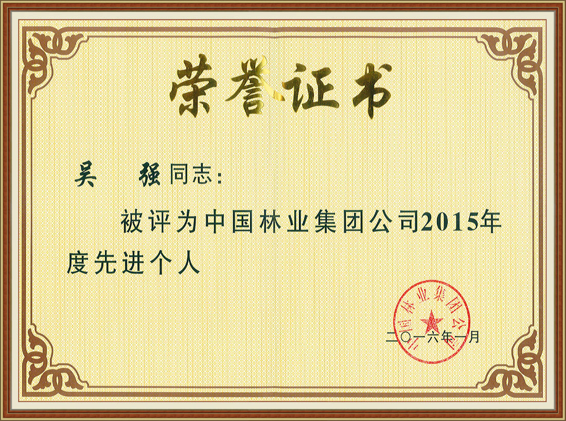 中国林业集团公司2015年度先进个人